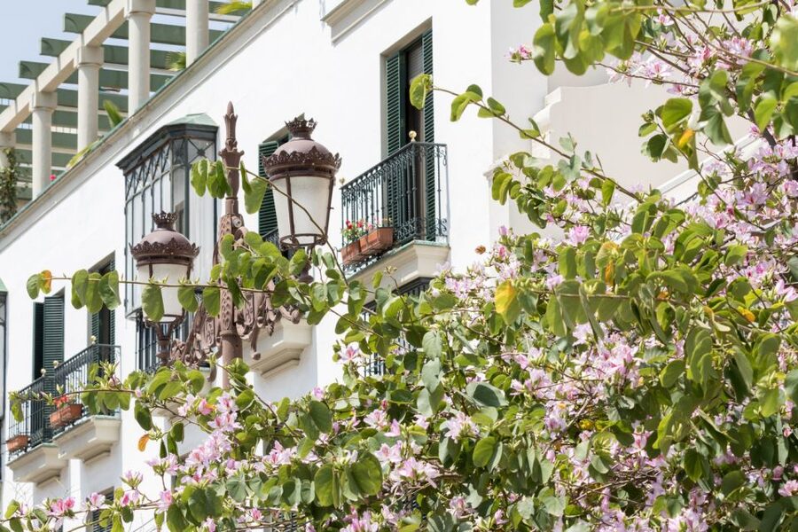 Seville Jewish Quarter walking tour: Santa Cruz District - Calle Susona and the stories of Susona, Barrabás, and the orange trees