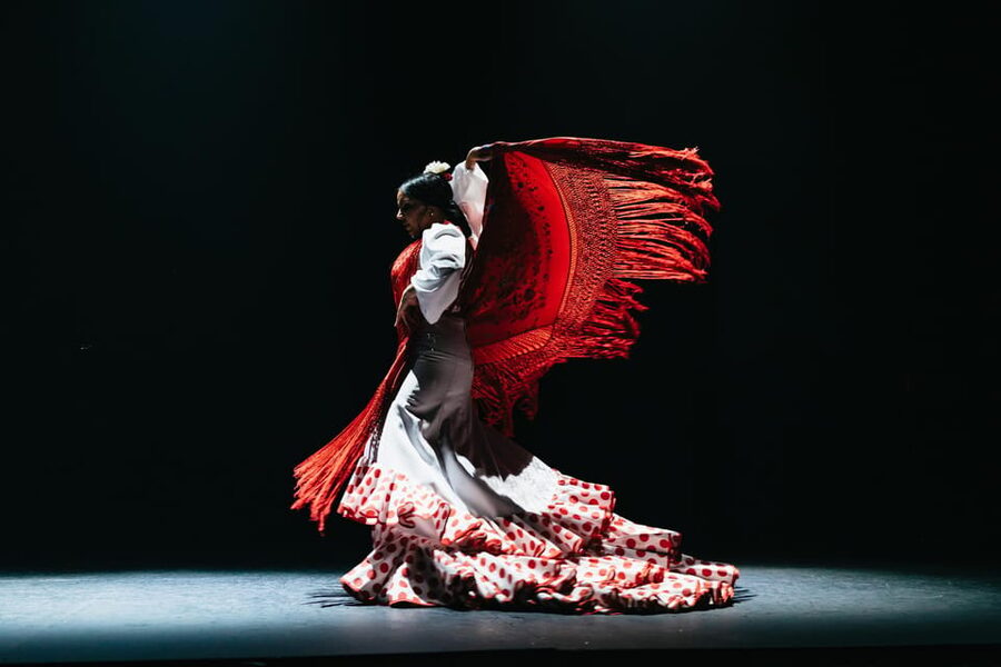 Seville: Live Flamenco Dancing Show Ticket at the Theater - Why this Seville flamenco night feels like more than a show
