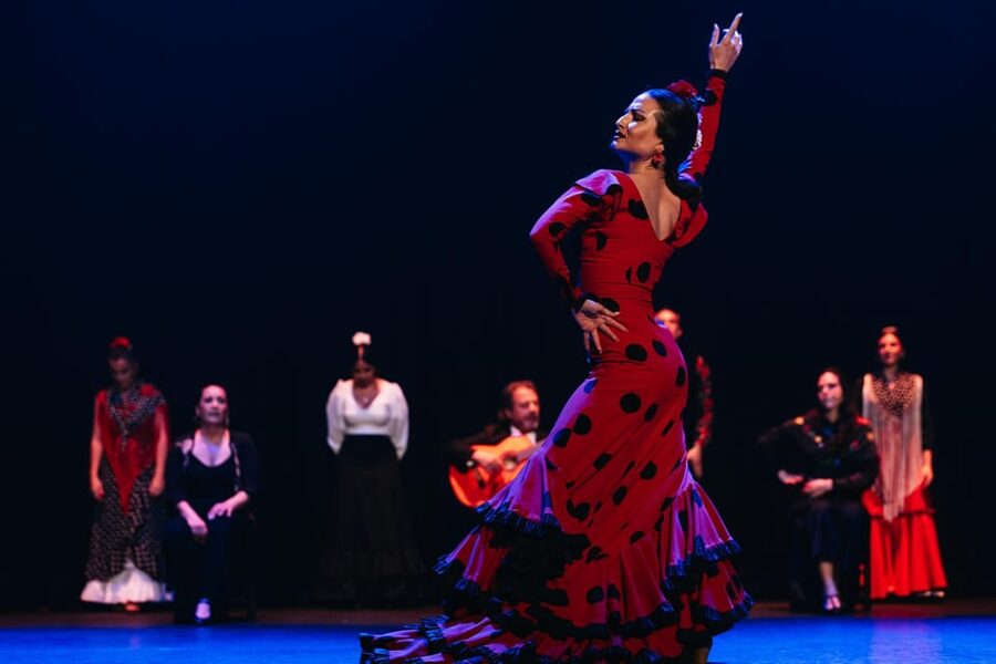 Seville: Live Flamenco Dancing Show Ticket at the Theater - The performers’ lineup: how the music, dance, and songs work as one unit