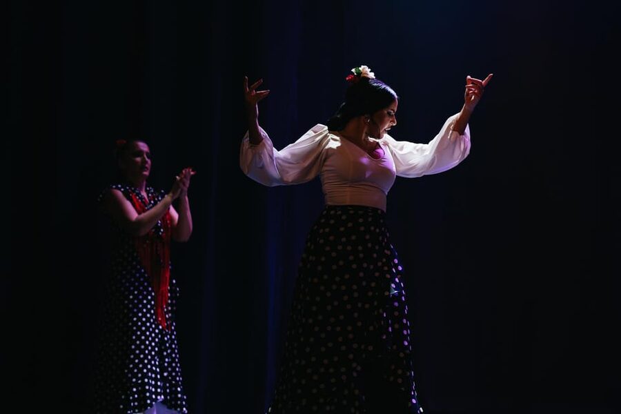Seville: Live Flamenco Dancing Show Ticket at the Theater - Price and value: is $27 a good deal in Seville?