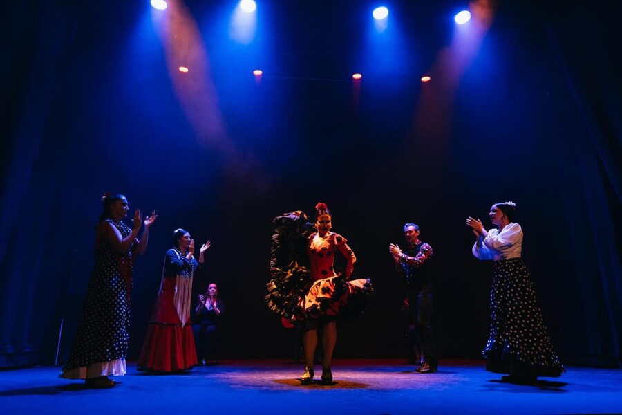 Seville: Live Flamenco Dancing Show Ticket at the Theater - Who should book this flamenco ticket (and who might rethink)