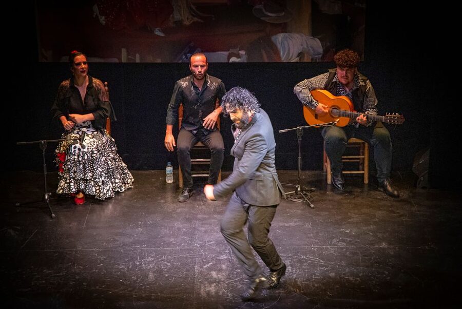 Seville: Live Flamenco Show at "Teatro Flamenco Triana" - The cast that makes flamenco click: guitar, singers, and dancers