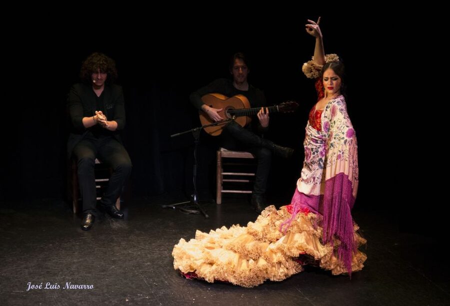 Seville: Live Flamenco Show at "Teatro Flamenco Triana" - Theater rules that actually improve your night