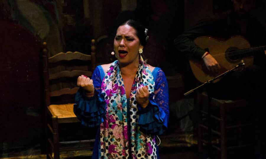 Seville: Live Flamenco Show at "Teatro Flamenco Triana" - Price and value: is $28 worth one hour of flamenco?