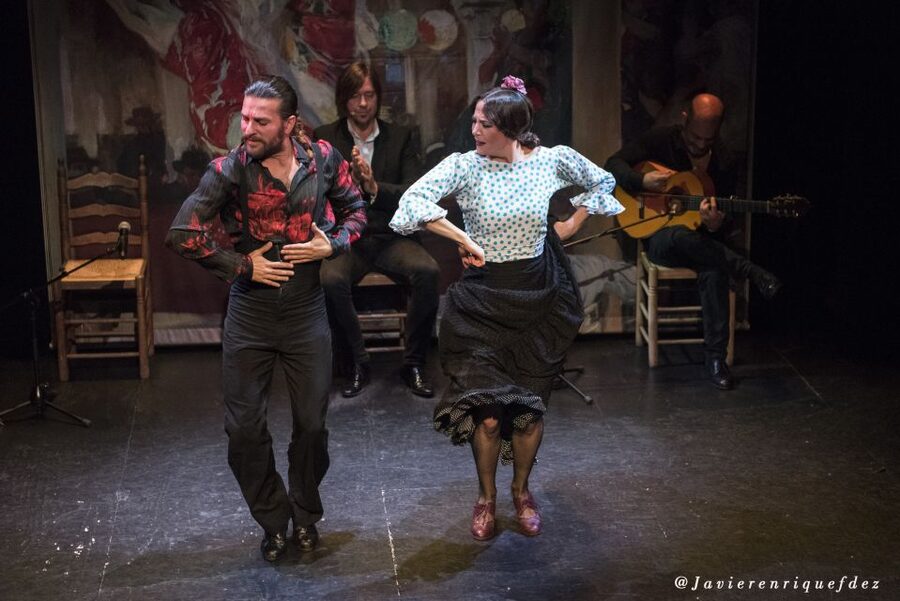 Seville: Live Flamenco Show at "Teatro Flamenco Triana" - Who should book this flamenco show, and who might not