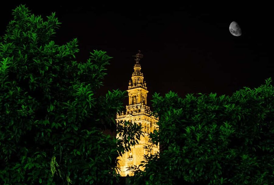 Seville Night Tour A Must See - Torre del Oro finish: where the night tour lands