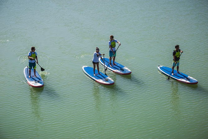 Seville: Paddle Surf Route and Class - Photos, Videos, and the Small-Group Advantage