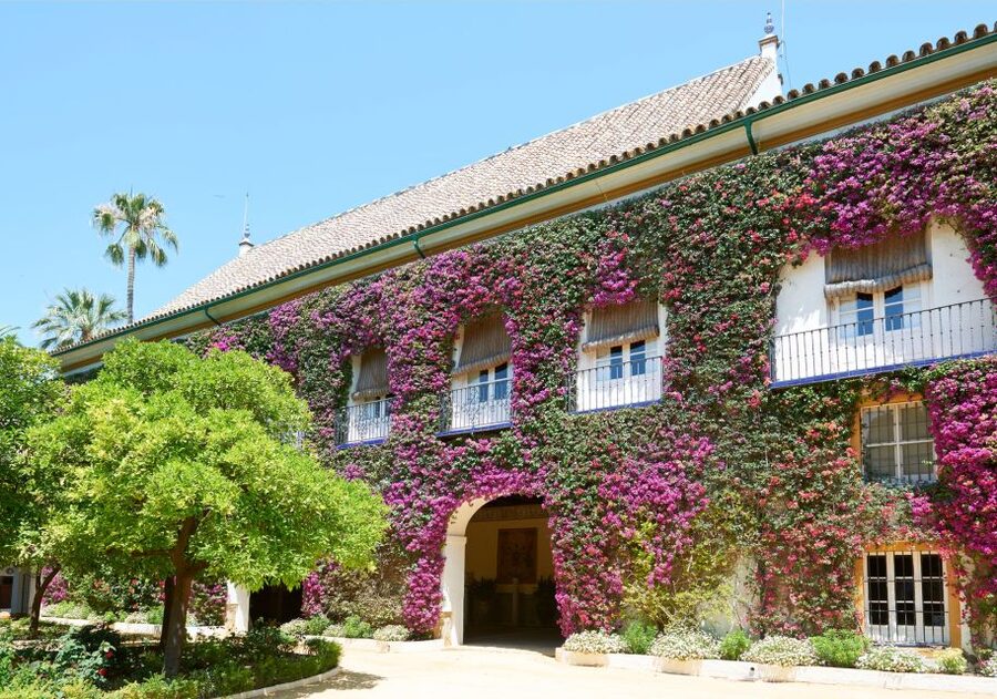 Seville: Palacio de Las Dueñas Entry Ticket and Guided Tour - FAQ