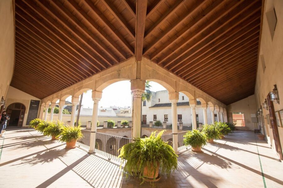Seville: Palacio de Las Dueñas, La Macarena & Las Setas Tour - Price and Value: Why About $46 Can Work Well Here