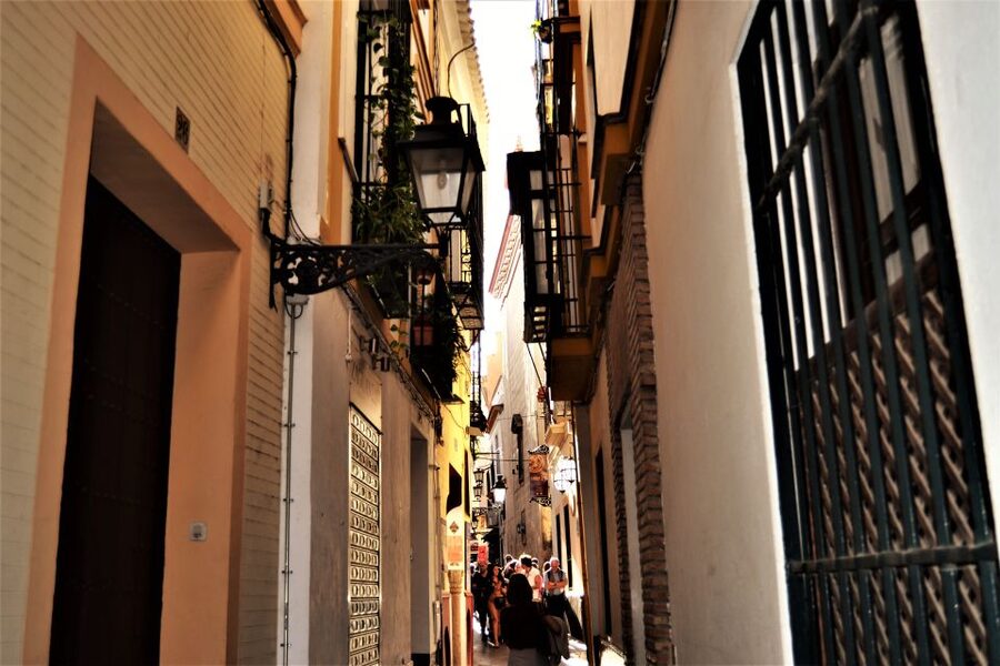 Seville: Plaza de Toros and Barrio Santa Cruz Tour - Key highlights worth your attention