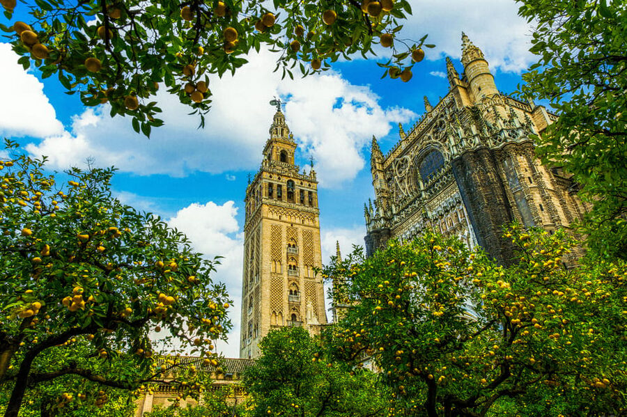 Seville: Priority Access Cathedral, Giralda & Alcázar Tour - Priority entry at Plaza del Triunfo: where to meet and why it matters