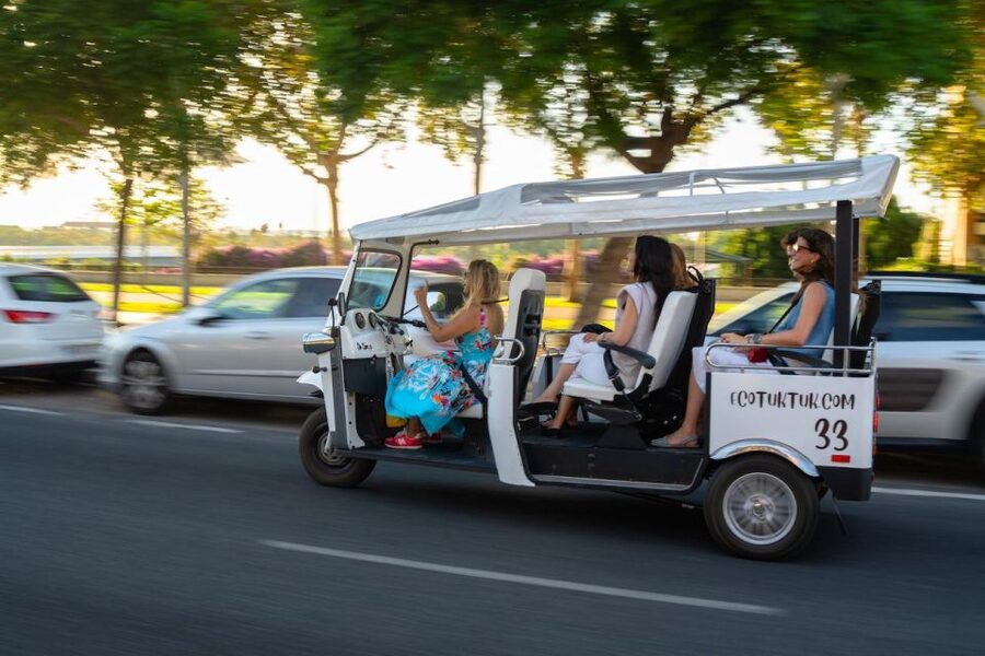 Seville: Private City Tour by Eco Tuk Tuk - Key highlights worth your time