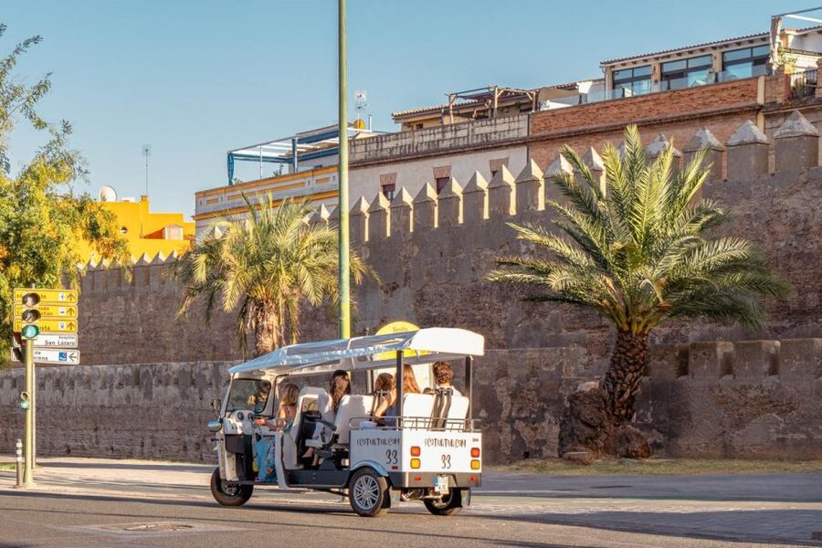 Seville: Private City Tour by Eco Tuk Tuk - San Telmo Palace and the Antigua Fábrica de Tabacos: classic buildings you see fast