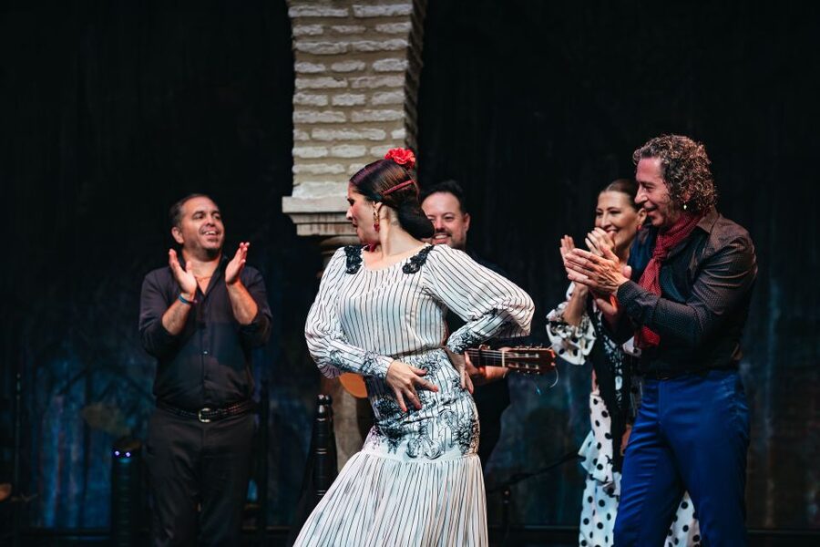 Seville: Puro Flamenco Show with Optional Museum Ticket - Who Should Book This Puro Flamenco Show?