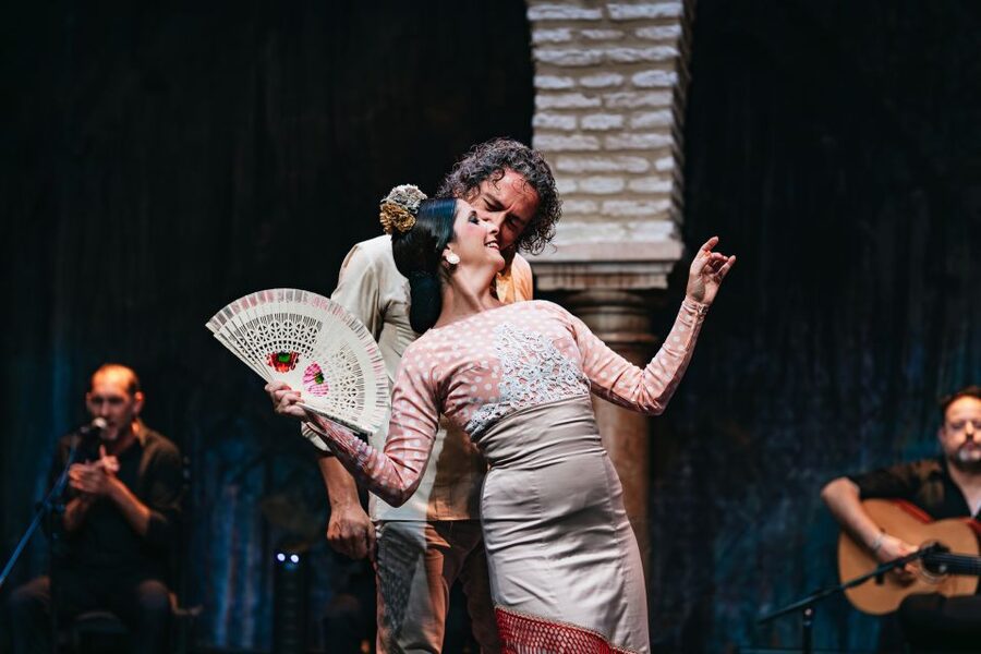 Seville: Puro Flamenco Show with Optional Museum Ticket - Where to Meet in Barrio de Santa Cruz, and How Early You Should Arrive