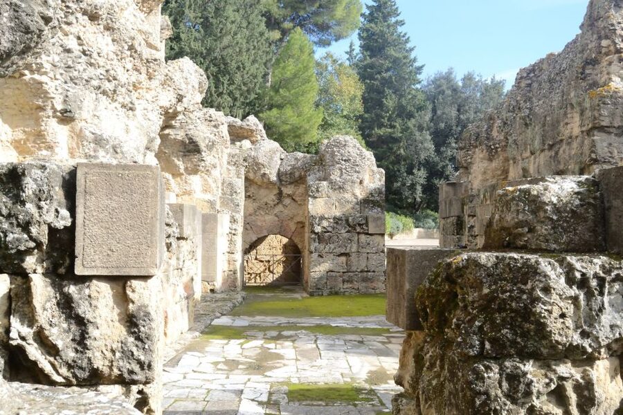 Seville: Roman City of Itálica 2 Hour Tour - A clear 2-hour itinerary, from city power to everyday life