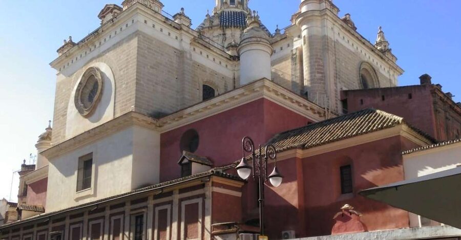 Seville: Salvador Church, Casa Pilatos, and Metropol Tour - Getting Your Bearings Fast, Pink T-Shirt Meeting Point and 2.5-Hour Pace