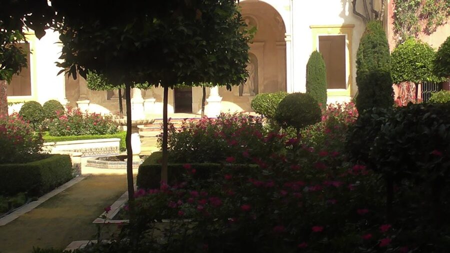 Seville: Salvador Church, Casa Pilatos, and Metropol Tour - Price and Value: What $46 Covers and Where You Might Spend Extra