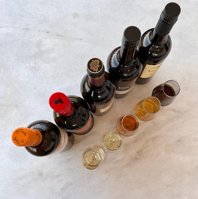Seville: Sherry Wine Tasting with Light Snacks - Key things to know before you go