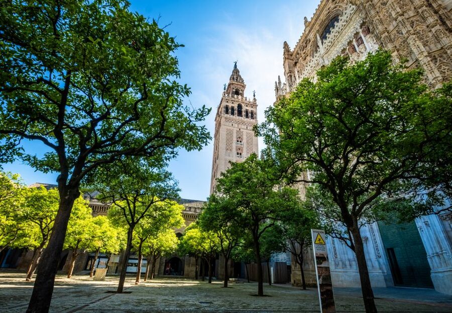 Seville: Small-Group Cathedral and Giralda Tour with Tickets - La Giralda climb: 34 ramps, bells, and real city views