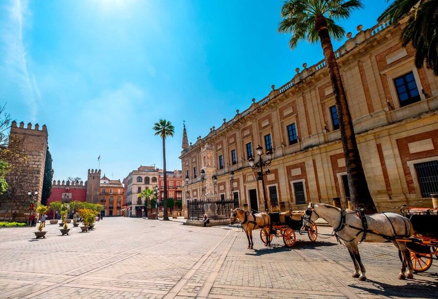 Seville: Small-Group City Highlights Walking Tour - Meeting Point and What to Look For
