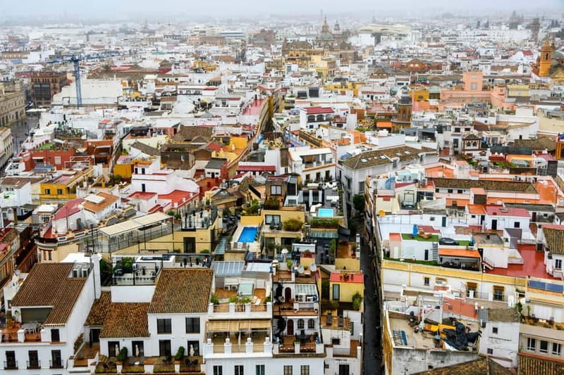 Seville: Sunset Roof Top Walking Tour - Plaza Nueva, Seville City Hall, and the first photo stop glow