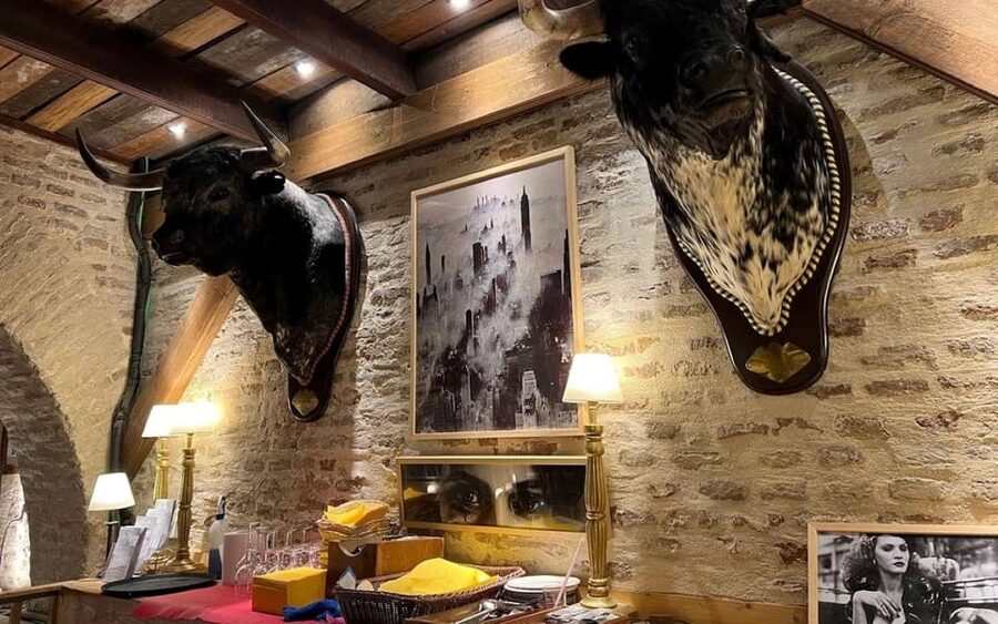 Seville: Tapas Dinner and Flamenco Show - Key highlights worth planning for