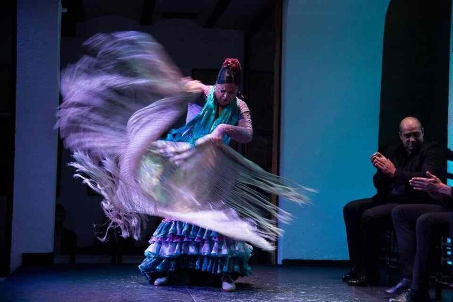 Seville: Tapas Dinner and Flamenco Show - Small group comfort: what a max of 8 changes