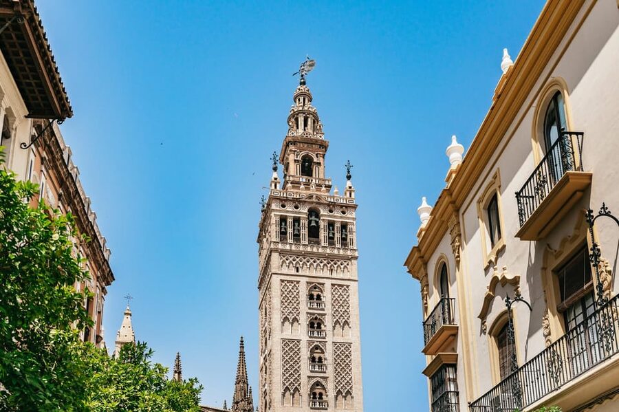 Seville: Tapas, Taverns and History Guided Walking Tour - Bodeguita Antonio Romero Arfe: four shared plates and manzanilla sherry
