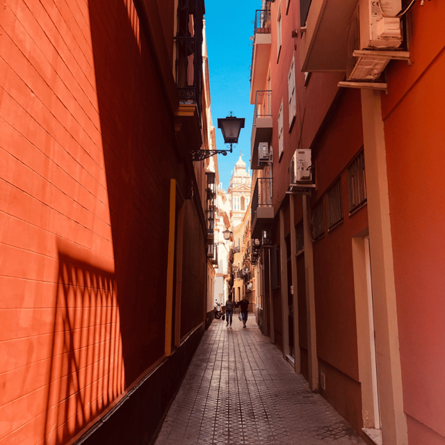 Seville: Tiny-Group Jewish Quarter Discovery Walking Tour - Plaza de Doña Elvira, Calle Vida, and Callejón del Agua