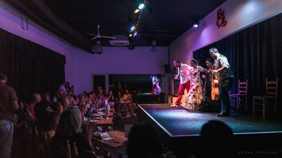 Seville: Traditional Flamenco Show in Triana - Key things I’d circle before you go