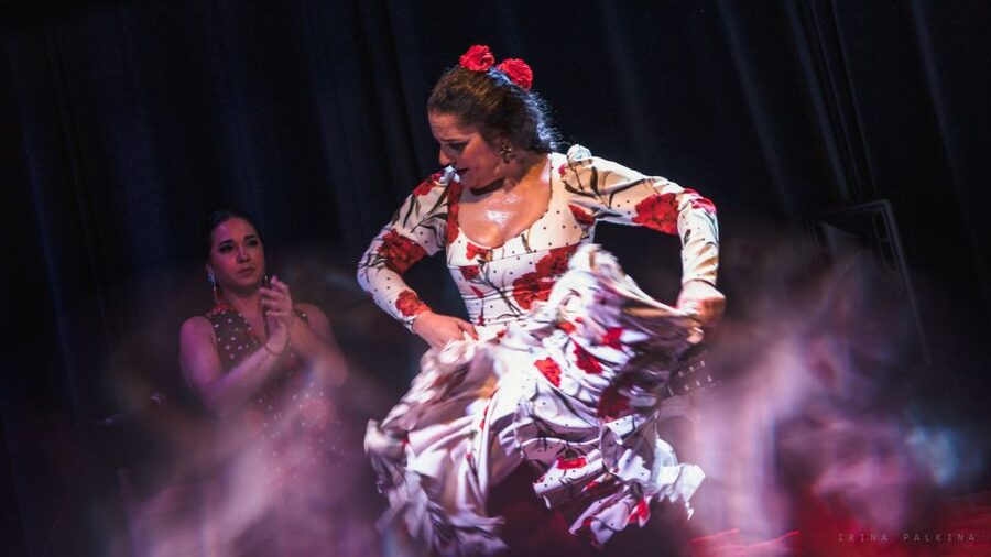 Seville: Traditional Flamenco Show in Triana - Bar, atmosphere, and the rules you must follow