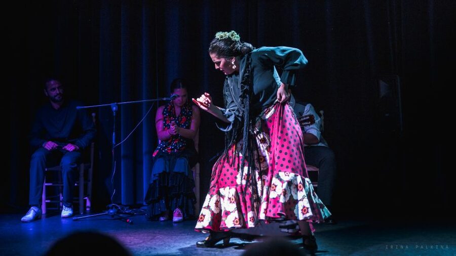 Seville: Traditional Flamenco Show in Triana - Who this flamenco show fits best