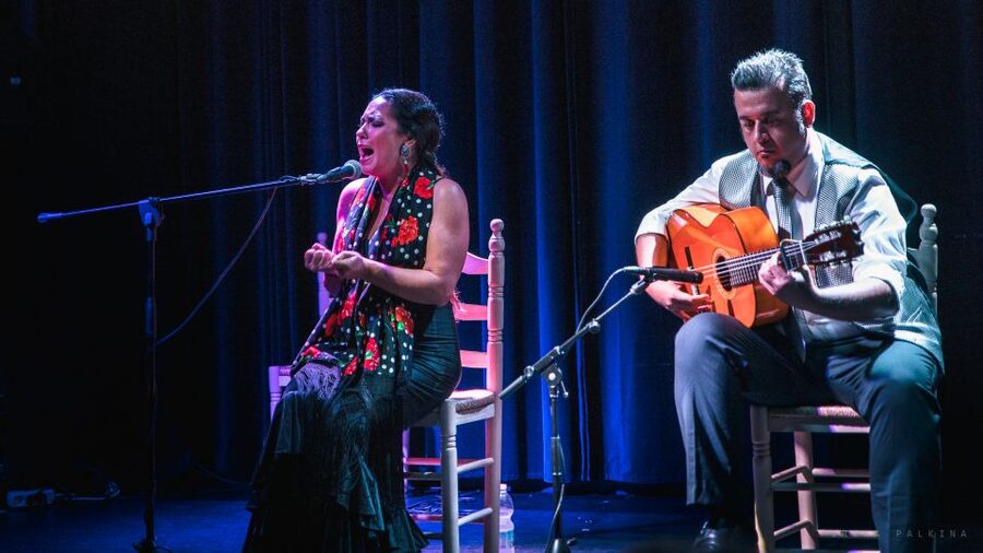 Seville: Traditional Flamenco Show in Triana - A simple game plan before you go