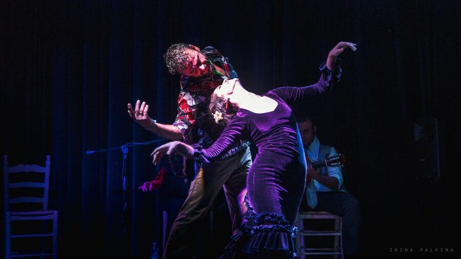 Seville: Traditional Flamenco Show in Triana - Should you book this Triana flamenco show?