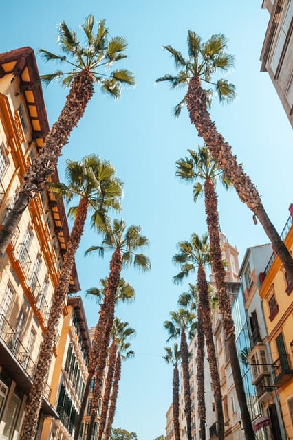 Seville: Transfer to Málaga with visit to Ronda - From Seville to Málaga, With Ronda as Your Midway Break