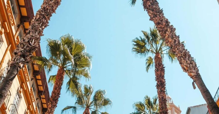 Seville: Transfer to Málaga with visit to Ronda - Price and Logistics: Is $387 Per Person Good Value?