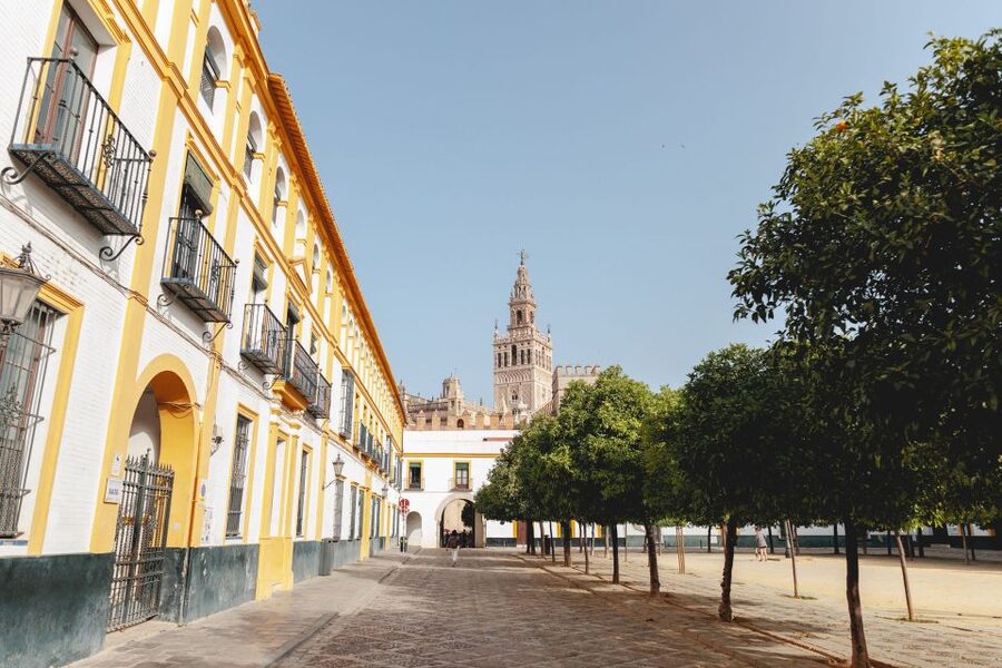 Seville: VIP Exclusive Early Access Tour of The Alcazar - Key things you’ll notice on this VIP Alcázar tour