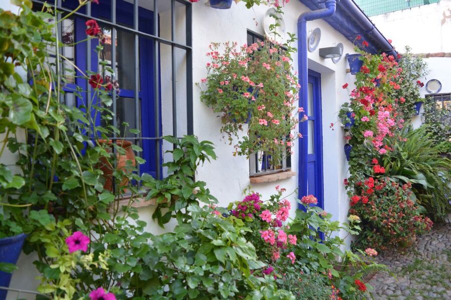 Sights, Sounds, and Scents of Córdoba's Patios - Languages and guide style: getting the most out of every courtyard