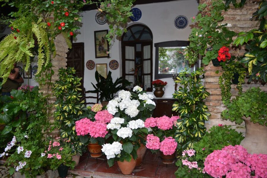Sights, Sounds, and Scents of Córdoba's Patios - Why Córdoba patios feel different as the sun goes down