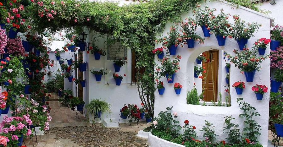 Sights, Sounds, and Scents of Córdoba's Patios - Inside the Patios Populares: what you’ll actually see at 8 to 12 courtyards