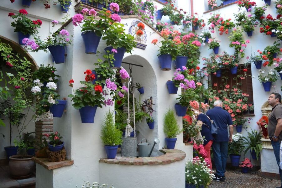 Sights, Sounds, and Scents of Córdoba's Patios - The included Montilla-Moriles Fino break, and why it’s not just a souvenir stop