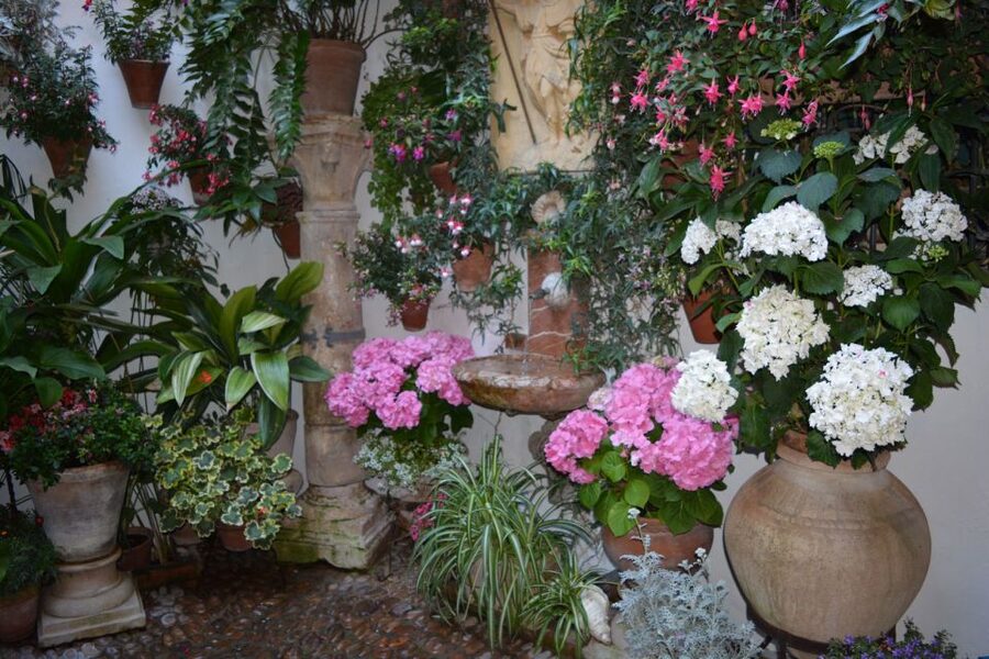 Sights, Sounds, and Scents of Córdoba's Patios - Timing, shoes, and what to pack for an evening patio walk