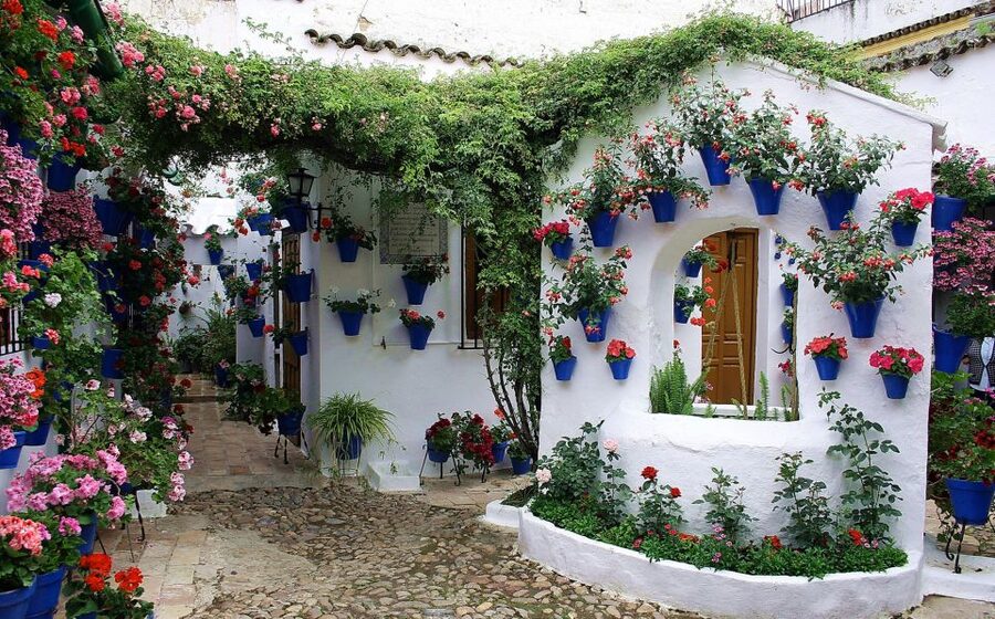 Sights, Sounds, and Scents of Córdoba's Patios - Meeting at Manolete, then walking into the Santa Marina quarter