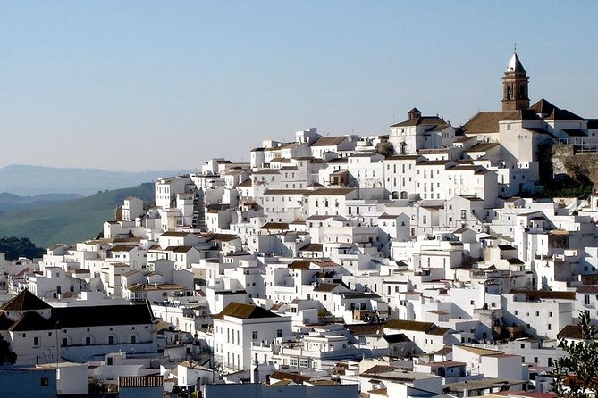 Spend a day in the White Villages from Cadiz - Ubrique and the leather-and-forest connection near Pinsapos