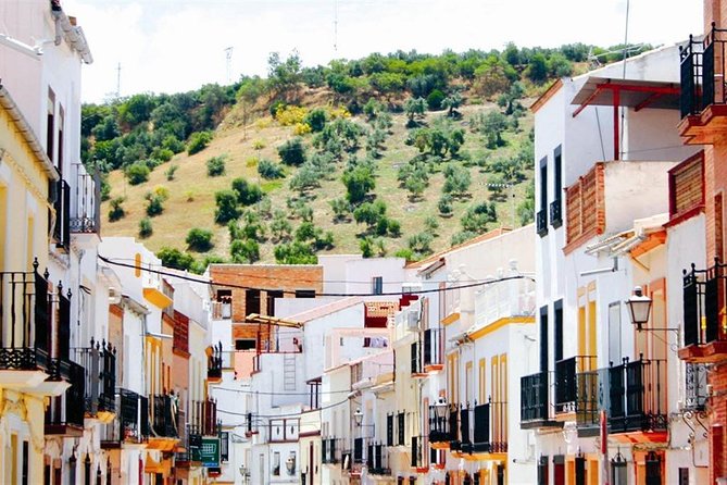 Spend a day in the White Villages from Cadiz - Ronda as the main event, with a guided historic center