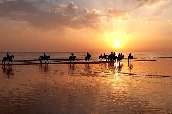 Stunning Sundown Beach Ride on horseback! MINIMUM 2 PARTICIPANTS - Key highlights you’ll feel on day-of