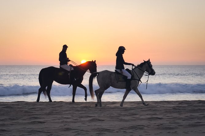 Stunning Sundown Beach Ride on horseback! MINIMUM 2 PARTICIPANTS - Polo horses or classic Spanish horses: what kind of ride this is
