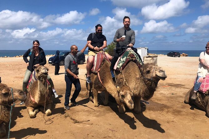 Tangier Day Trip from Seville - Tarifa to Tangier: Why This Ferry Leg Matters More Than You Think