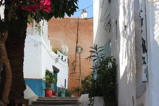 Tangier Day Trip from Seville with Lunch Included & Local Guide - Who This Seville to Tangier Day Trip Fits Best